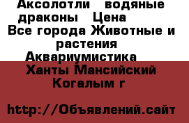 Аксолотли / водяные драконы › Цена ­ 500 - Все города Животные и растения » Аквариумистика   . Ханты-Мансийский,Когалым г.